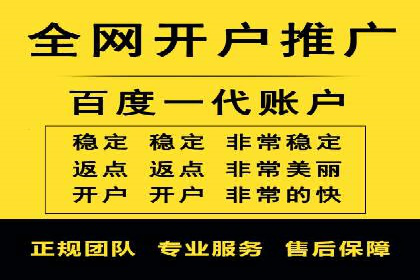 百度竞价SEM策略解析：某品牌广告成功的关键因素